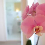 Maree Hotel